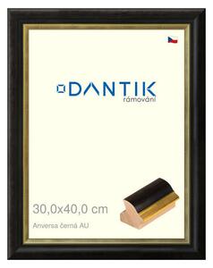 DANTIK rám na obraz 30x40 | ANIVERSA černá AU (Plexi Čiré)