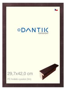 DANTIK rám na obraz 29,7x42 | FC hnědá vysoká (Plexi Čiré)