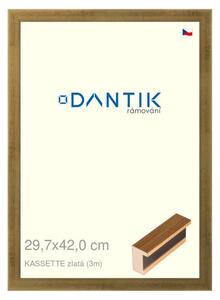 DANTIK rám na obraz 29,7x42 | KASSETTE zlatá (Plexi Čiré)
