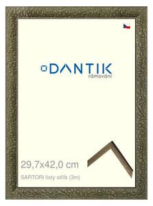 DANTIK rám na obraz 29,7x42 | SARTORI listy stříb (Plexi Čiré)