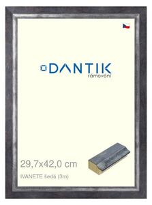 DANTIK rám na obraz 29,7x42 | IVANETE šedá (Plexi Čiré)