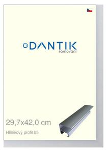 DANTIK rám na obraz 29,7x42 | ALU Stříbrná matná (Plexi Čiré)