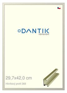DANTIK rám na obraz 29,7x42 | ALU zlatá matná (Plexi Čiré)