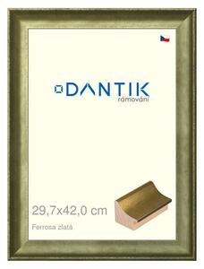 DANTIK rám na obraz 29,7x42 | Ferrosa zlatá (Plexi Čiré)