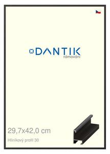 DANTIK rám na obraz 29,7x42 | ALU Dýha černá (Plexi Čiré)