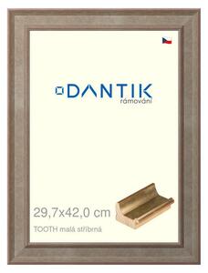 DANTIK rám na obraz 29,7x42 | TOOTH malá stříbrná (Plexi Čiré)