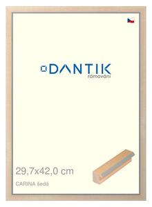 DANTIK rám na obraz 29,7x42 | CARINA šedá (Plexi Čiré)