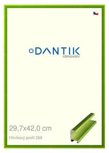 DANTIK rám na obraz 29,7x42 | ALU Zelená Smaragd broušená (Plexi Čiré)