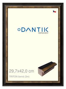 DANTIK rám na obraz 29,7x42 | TRITON černá (Plexi Čiré)