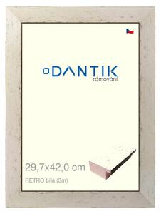 DANTIK rám na obraz 29,7x42 | RETRO bílá (Plexi Čiré)