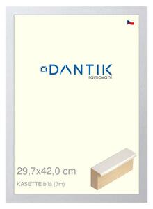 DANTIK rám na obraz 29,7x42 | KASSETTE bílá (Plexi Čiré)