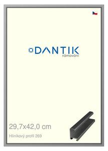 DANTIK rám na obraz 29,7x42 | ALU Šedá leská (Plexi Čiré)