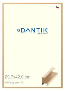 DANTIK rám na obraz 29,7x42 | ALU Zlatá lesklá (Plexi Čiré)