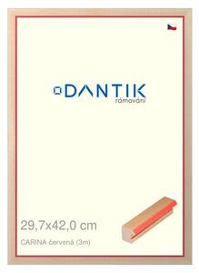 DANTIK rám na obraz 29,7x42 | CARINA červená (Plexi Čiré)