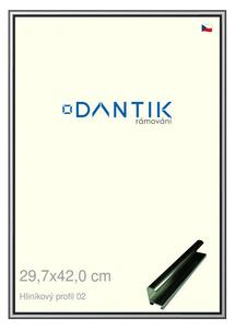 DANTIK rám na obraz 29,7x42 | ALU Šedá leská (Plexi Čiré)