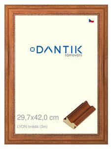 DANTIK rám na obraz 29,7x42 | LYON hnědá (Plexi Čiré)