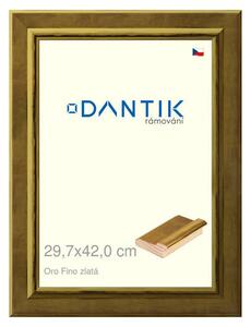 DANTIK rám na obraz 29,7x42 | Oro Fino zlatá (Plexi Čiré)