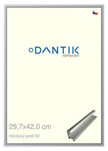 DANTIK rám na obraz 29,7x42 | ALU Stříbrná matná (Plexi Čiré)