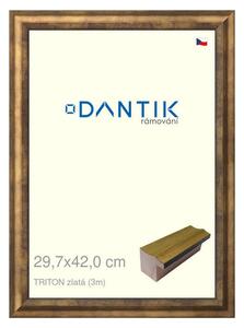 DANTIK rám na obraz 29,7x42 | TRITON zlatá (Plexi Čiré)
