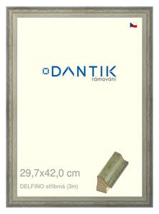DANTIK rám na obraz 29,7x42 | DELFINO stříbrná (Plexi Čiré)