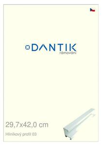 DANTIK rám na obraz 29,7x42 | ALU Bílá matná (Plexi Čiré)