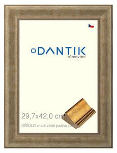DANTIK rám na obraz 29,7x42 | KŘÍDLO malé zlaté patina (Plexi Čiré)