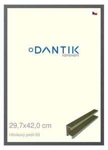 DANTIK rám na obraz 29,7x42 | ALU Platina matná (Plexi Čiré)