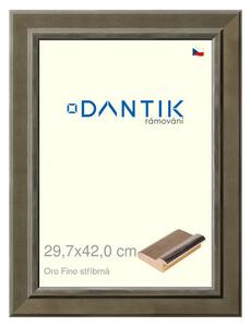 DANTIK rám na obraz 29,7x42 | Oro Fino stříbrná (Plexi Čiré)