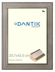 DANTIK rám na obraz 29,7x42 | Museo stříbrná (Plexi Čiré)