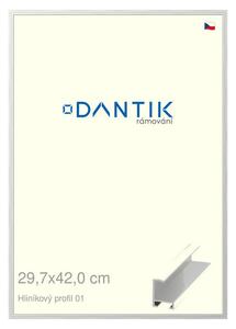 DANTIK rám na obraz 29,7x42 | ALU Stříbrná lesklá (Plexi Čiré)