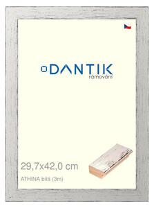 DANTIK rám na obraz 29,7x42 | ATHINA Bílá (Plexi Čiré)