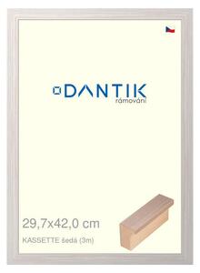 DANTIK rám na obraz 29,7x42 | KASSETTE šedá (Plexi Čiré)