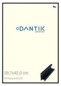 DANTIK rám na obraz 29,7x42 | ALU Černá matná (Plexi Čiré)