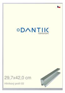 DANTIK rám na obraz 29,7x42 | ALU Stříbrná matná (Plexi Čiré)