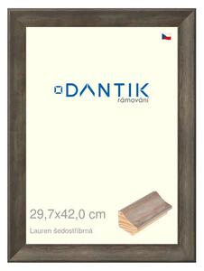 DANTIK rám na obraz 29,7x42 | Lauren šedostříbrná (Plexi Čiré)