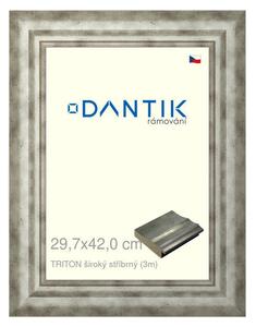 DANTIK rám na obraz 29,7x42 | TRITON široký stříbrný (Plexi Čiré)