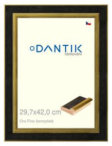 DANTIK rám na obraz 29,7x42 | Oro Fino černozlatá (Plexi Čiré)