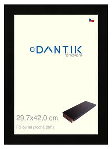 DANTIK rám na obraz 29,7x42 | FC černá plochá (Plexi Čiré)