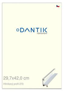 DANTIK rám na obraz 29,7x42 | ALU Bílá matná (Plexi Čiré)