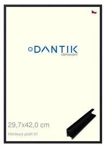 DANTIK rám na obraz 29,7x42 | ALU Černá matná (Plexi Čiré)