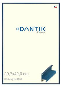 DANTIK rám na obraz 29,7x42 | ALU Dýha barevná modrá královská (Plexi Čiré)