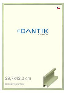 DANTIK rám na obraz 29,7x42 | ALU Dýha barevná zelená pastel (Plexi Čiré)