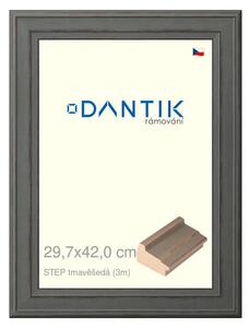 DANTIK rám na obraz 29,7x42 | STEP tmavěšedá (Plexi Čiré)