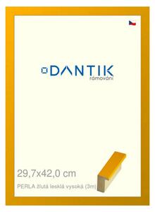 DANTIK rám na obraz 29,7x42 | PERLA žlutá lesklá vysoká (Plexi Čiré)