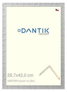 DANTIK rám na obraz 29,7x42 | SARTORI kost.bí.l.m (Plexi Čiré)