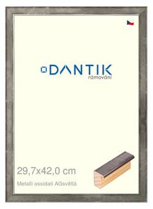 DANTIK rám na obraz 29,7x42 | Metalli oidati AGsvětlá (Plexi Čiré)