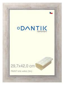 DANTIK rám na obraz 29,7x42 | PAINT bílá velká (Plexi Čiré)