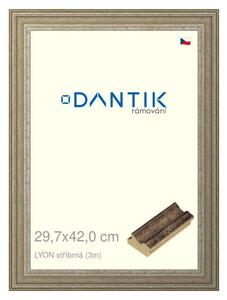 DANTIK rám na obraz 29,7x42 | LYON stříbrná (Plexi Čiré)