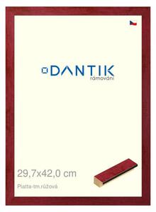 DANTIK rám na obraz 29,7x42 | PIATTA tm.růžová (Plexi Čiré)