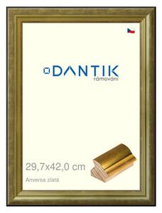 DANTIK rám na obraz 29,7x42 | ANIVERSA zlatá (Plexi Čiré)